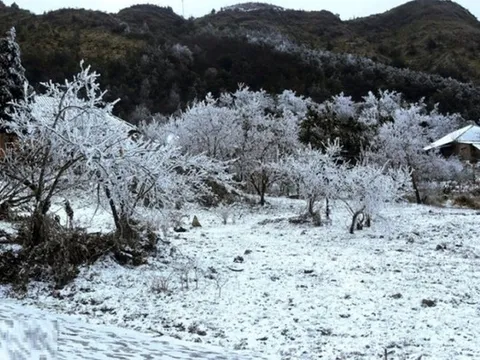 Dự báo thời tiết 20/1: Miền Bắc đón đợt không khí lạnh cực mạnh, dự báo nơi nào rét nhất?