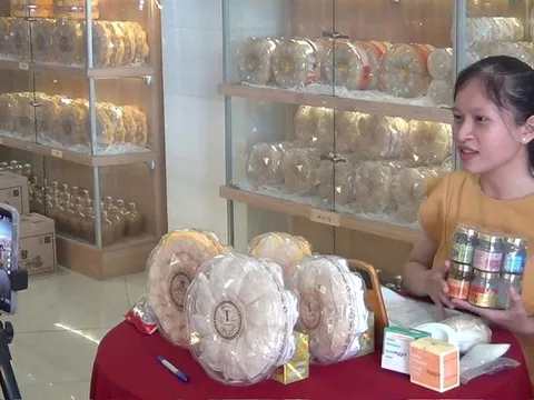 Đua bán nông sản qua mạng dịp Tết