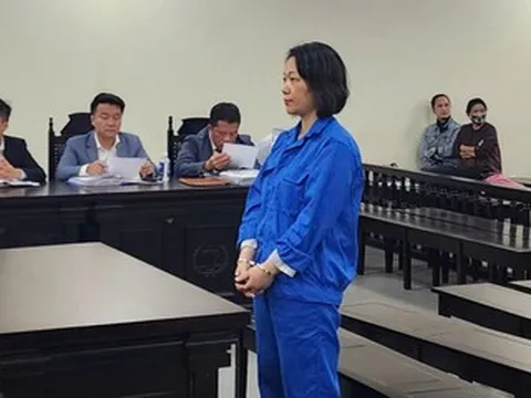 Người phụ nữ ở Hà Nội lừa đảo chiếm đoạt hơn 140 tỷ đồng