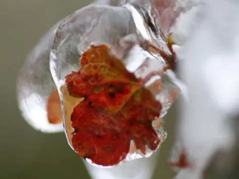 Tin không khí lạnh mới nhất: Miền Bắc ghi nhận hàng loạt điểm dưới 10 độ