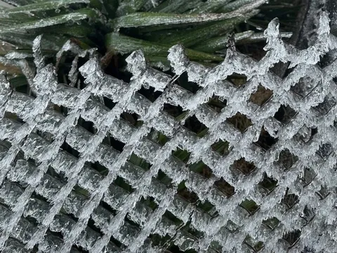 Nền nhiệt thấp nhất 1 độ C, đề phòng băng giá và mưa tuyết