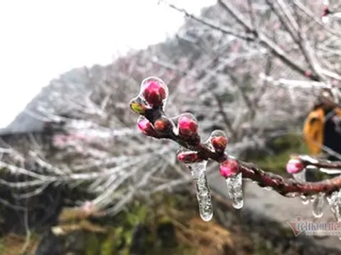 Rét nhất từ đầu mùa đông, miền Bắc có nơi -0,1 độ