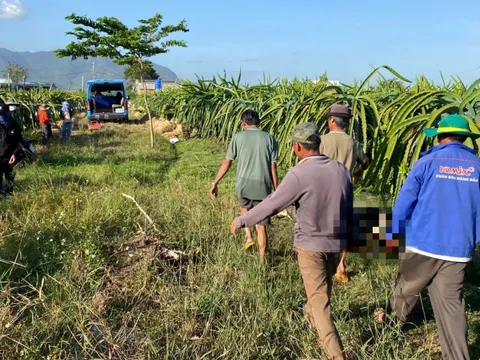 Người đàn ông tử vong trong vườn thanh long ở Lâm Đồng