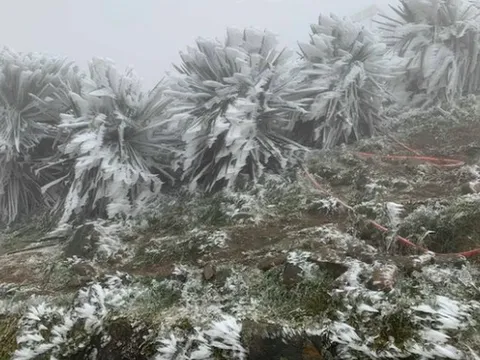 Dự báo thời tiết 24/1: Miền Bắc đón đợt không khí lạnh cường độ mạnh, dự báo nơi rét nhất