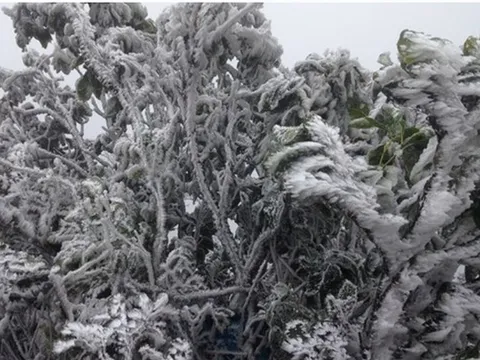 Miền Bắc duy trì trạng thái rét sâu dưới 9 độ C, sắp tăng cường đợt không khí lạnh mới?