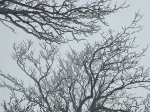 Dự báo thời tiết 25/1: Miền Bắc tiếp tục "chìm" trong rét đậm, mưa phùn khiến giá buốt tăng cao