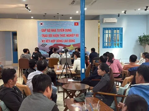 CLIP: 4 người Hàn Quốc bị phạt vì tuyển lao động trái phép ở Cần Thơ