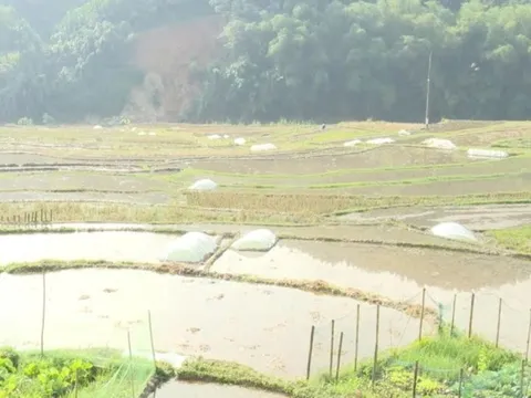 Nhịp sống hồi sinh nơi biên giới Tam Thanh sau mưa lũ