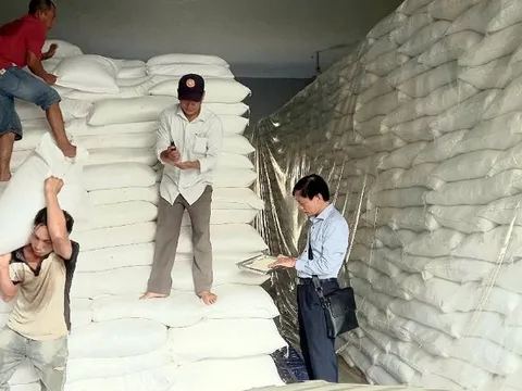 Hơn 4.100 tấn gạo từ kho dự trữ quốc gia hỗ trợ 5 tỉnh dịp Tết và giáp hạt