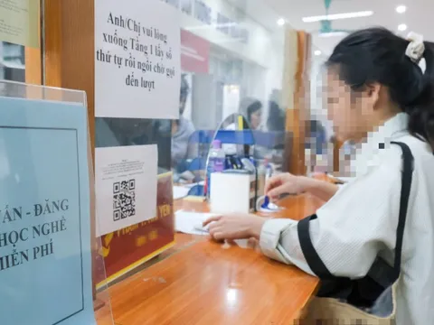 Hơn 61% người đề nghị hưởng trợ cấp thất nghiệp không có bằng cấp, chứng chỉ