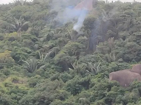 Sự cố máy bay YAK-130 rơi tại Đắk Lắk: Phi công điều khiển máy bay tránh xa khu dân cư