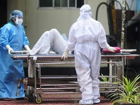 Bộ Y tế yêu cầu cách ly nghiêm ngặt ca nghi nhiễm hoặc xác định mắc vi rút Nipah