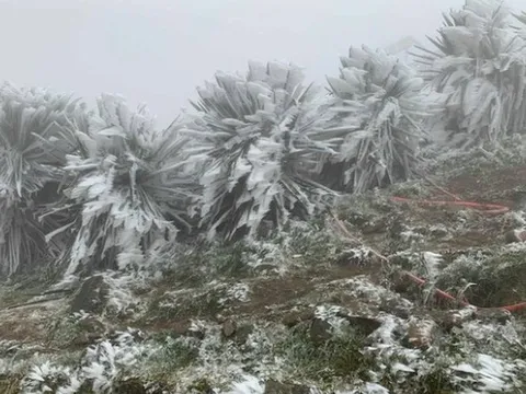 Miền Bắc liên tiếp đón không khí lạnh cực mạnh, trời rét đậm