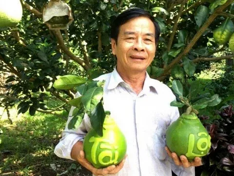 Nhà vườn miền Tây chuẩn bị trái cây tạo hình, in chữ bán Tết