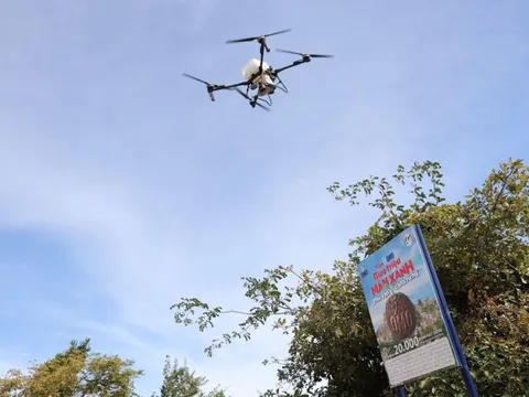 Mang ‘lộc xanh’ đến Vườn quốc gia Núi Chúa - Phước Bình