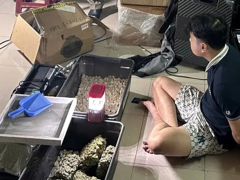 Phát hiện đường dây tiêu thụ cần sa trồng trong nhà, có yếu tố người nước ngoài