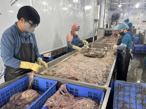 Hơn 60 tấn lòng heo hôi thối, chuyển màu nằm trong kho lạnh