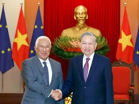 Đối tác trụ cột