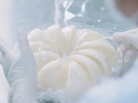 'Vàng trắng' sinh thái: Lợi thế cạnh tranh mới của Cần Giờ