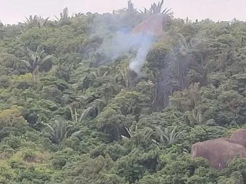 Bộ Quốc phòng thông tin về sự cố máy bay quân sự rơi tại Đắk Lắk