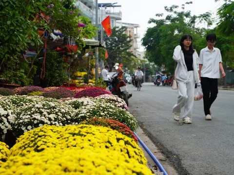 Hoa Tết nở sớm, nhiều điểm bán lẻ đã 'họp chợ' giữa tháng chạp