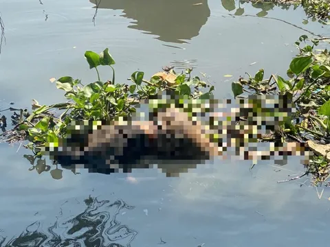 Thi thể cao 1,69 m, túi quần có số 233 trôi trên sông Sài Gòn