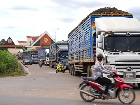 Tây Ninh tháo gỡ cho hàng chục ngàn tấn nông sản ùn ứ do vướng Nghị định 46