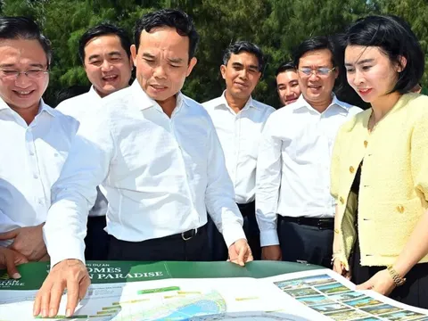 Cần Giờ - Khi khát vọng làm đảo chiều khái niệm