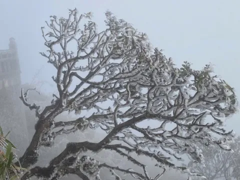 Miền Bắc đón đợt không khí lạnh mạnh bao phủ, khi nào rét đậm đạt đỉnh?