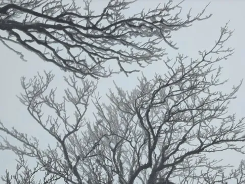 Đợt không khí lạnh mới cực mạnh bao phủ, miền Bắc chuyển rét đậm, có nơi dưới 8 độ