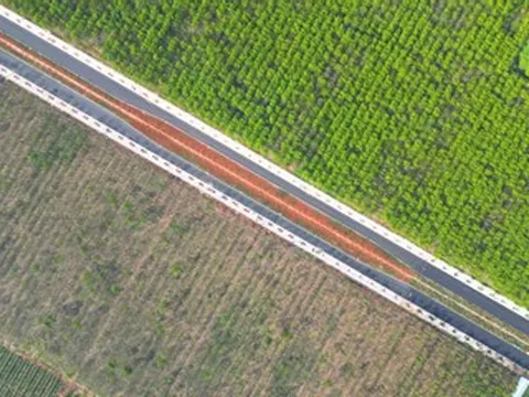 Lộ diện đường Vành đai 1 ở Đồng Nai xuyên rừng cao su, sắp thông xe kỹ thuật