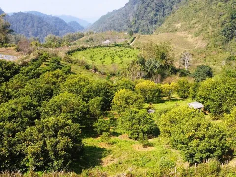 Giá thuê đất công ích quá cao, Thanh Hóa xin ý kiến Trung ương