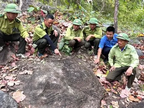 Cận cảnh bãi đá có họa tiết bí ẩn vừa được phát hiện trong Vườn quốc gia Yok Đôn