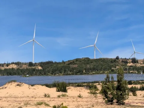 Dự án điện gió hơn 48.000 tỉ đồng tại Gia Lai lộ diện nhà đầu tư