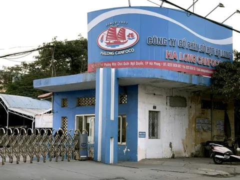 Giá vốn bất ngờ 'vọt' lên, Đồ hộp Hạ Long lỗ đậm sau vụ việc thịt heo bệnh