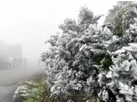 Miền Bắc sắp đón đợt rét buốt nhất, nguy cơ xảy ra băng giá và sương muối