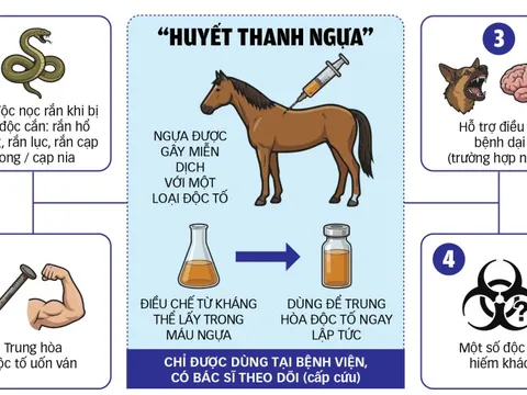 Năm Ngọ nói chuyện ngựa cứu người trong y học