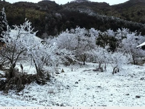 Dự báo thời tiết 6/2: Không khí lạnh dồn dập tràn về, miền Bắc sắp đón đợt rét đậm trên diện rộng