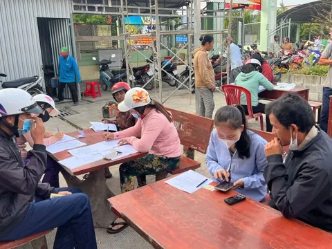 Bác tin đồn, khẳng định không cần xin giấy xác nhận nguồn gốc hoa, cây kiểng