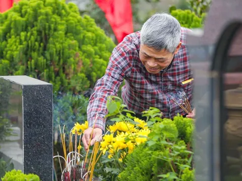 Trước Tết về với cội rễ