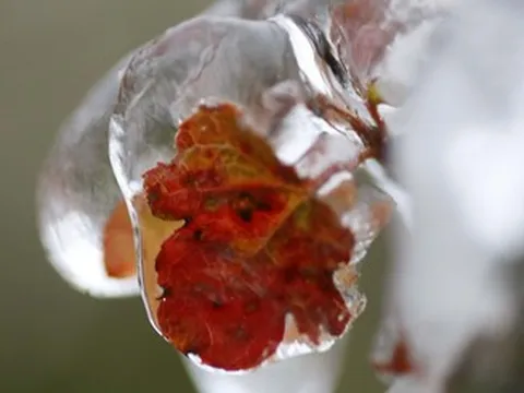 Không khí lạnh về muộn hơn, miền Bắc có thể giảm 8-10 độ vào ngày mai