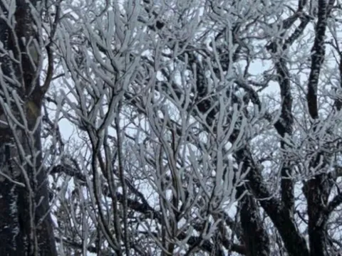 Dự báo thời tiết 10/2: Khi nào miền Bắc chấm dứt rét đậm?