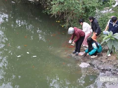 Ngày cúng ông Công, ông Táo: Cá chép "ngộp thở" vì tro rác phủ kín mặt sông