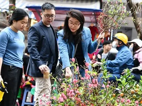 Miền Bắc sắp đón tiếp không khí lạnh, thời tiết Tết Nguyên đán 2026 ra sao?