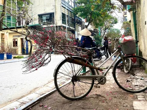 Chiếc xe đạp chở mùa xuân len lỏi giữa phố phường Hà Nội