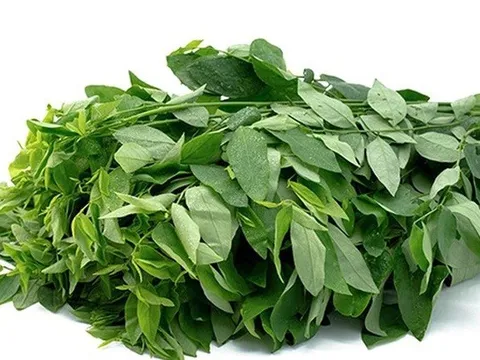 Những lưu ý giúp xương chắc khỏe cho người lớn tuổi