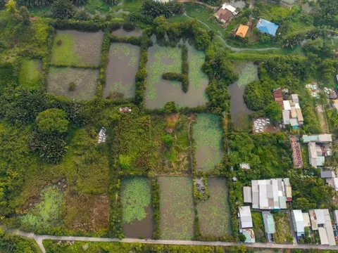 Kỳ vọng bán đảo Bình Quới - Thanh Đa "thay da đổi thịt"