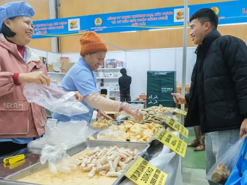 Khoảng 12 triệu lượt người lao động được Công đoàn chăm lo Tết