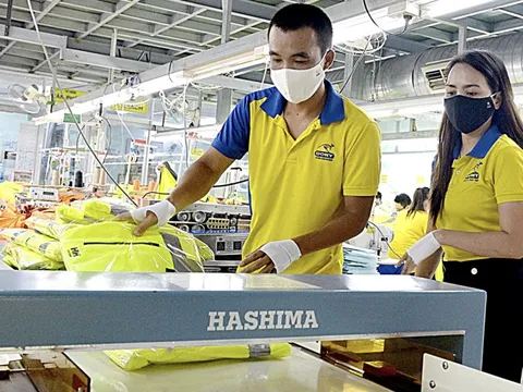 Phát triển kinh tế tư nhân: Tạo cơ hội và nâng cao chuẩn mực cho SME Việt Nam