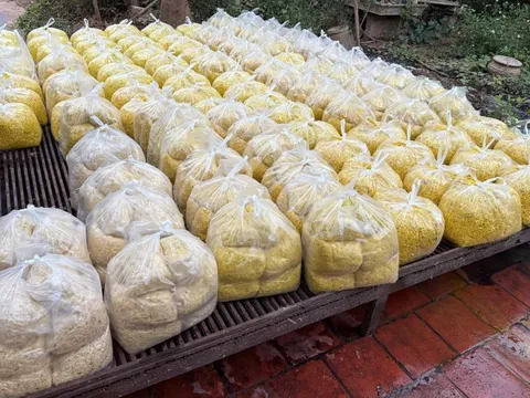 Hàng tấn riềng xay trộn chất gây ung thư: Chủ cơ sở làm riềng 'vàng đẹp, tươi lâu' thế nào?